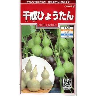 ひょうたん 千成ひょうたん 約40粒 （株）サカタのタネ 実咲200 : 2138 