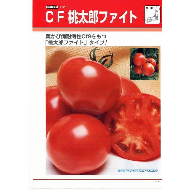 送料無料！トマト　CF桃太郎ファイト　1000粒タキイ種苗（株）｜green-loft｜02