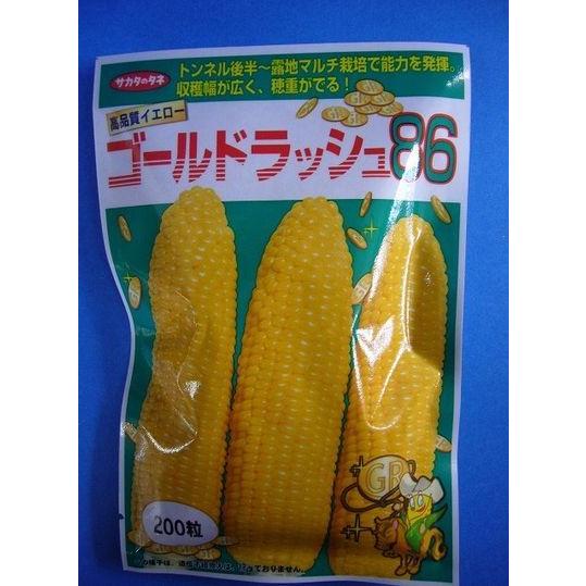 サカタのタネ（サカタノタネ） とうもろこし ゴールドラッシュ86 200粒