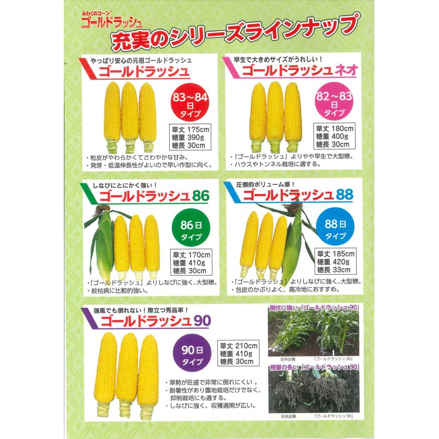 サカタのタネ（サカタノタネ） とうもろこし ゴールドラッシュ86 200粒