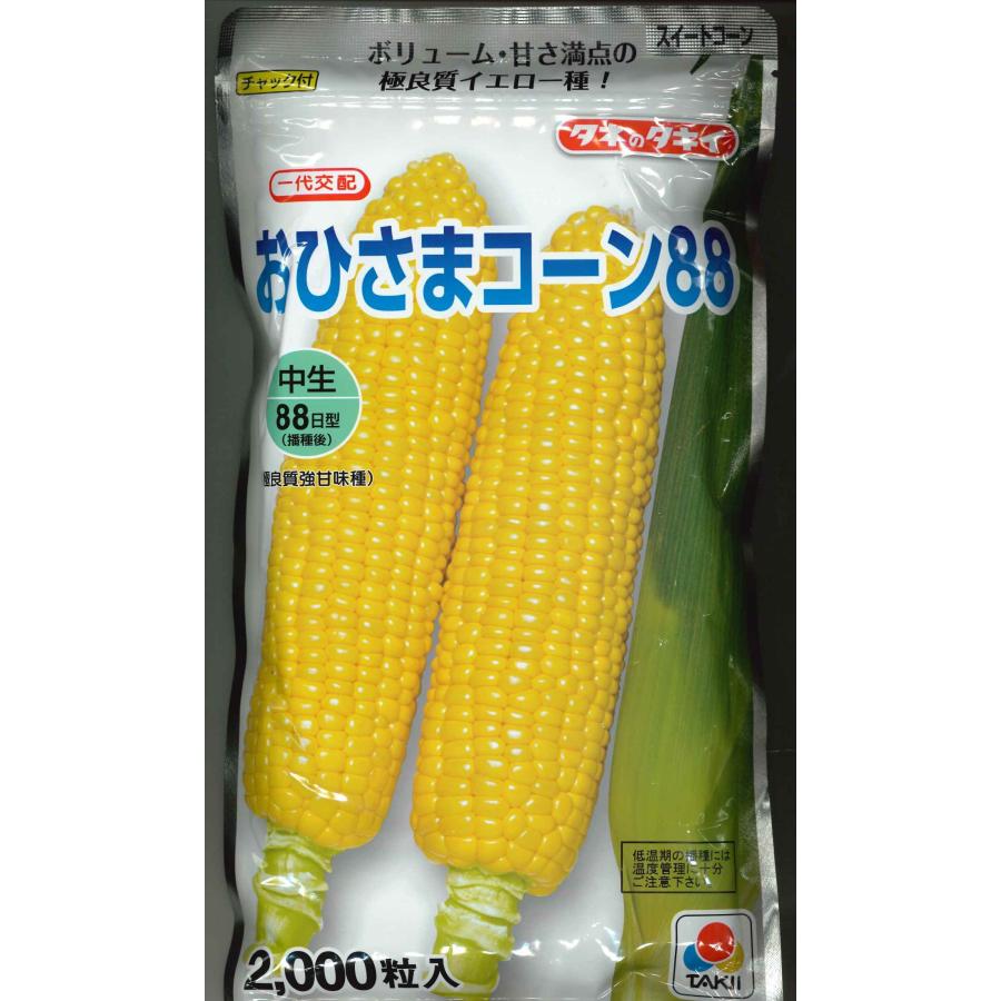 タキイ種苗 おひさまコーン 2000粒入(3袋) とうもろこし おひさまコーン88 2000粒 タキイ種苗（株） : グリーン