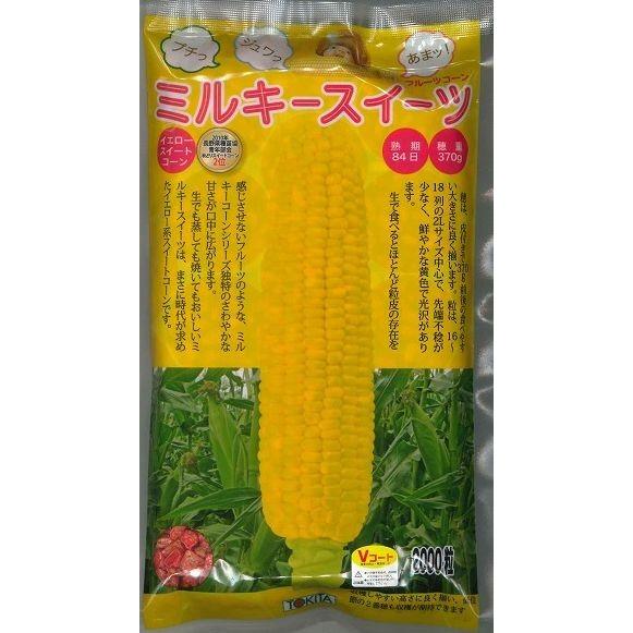 とうもろこし ミルキースイーツ 2000粒 トキタ種苗（株） : グリーン