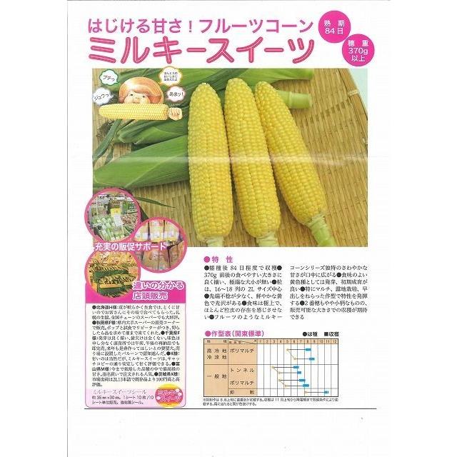 とうもろこし ミルキースイーツ 2000粒 トキタ種苗（株） : グリーン