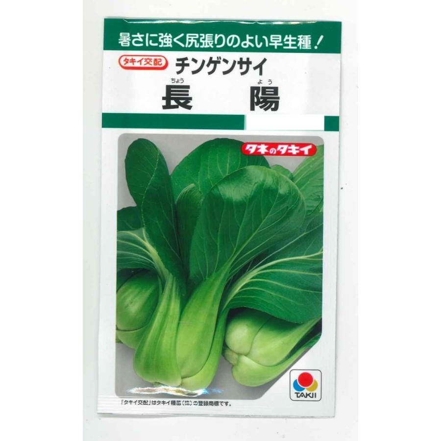 中国野菜 チンゲンサイ種 長陽 タキイ交配 2.7ml ＧＦ 通販