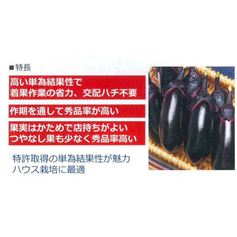 なすページ 茄子也‎‎‎🐴🎀🐴叔父姪本通販開始 (@nasubinari) / X