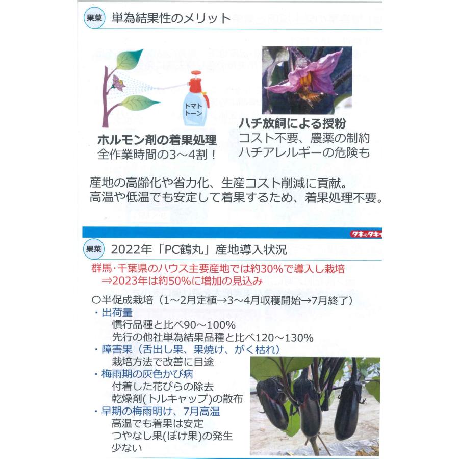 なす PC鶴丸 1000粒 タキイ種苗（株） : グリーンロフトネモト