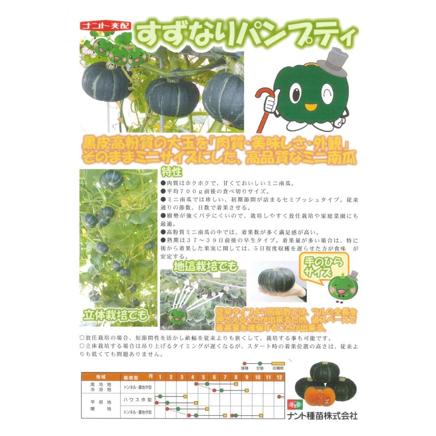 かぼちゃ　すずなりパンプティ　6粒　ナント種苗｜green-loft｜02