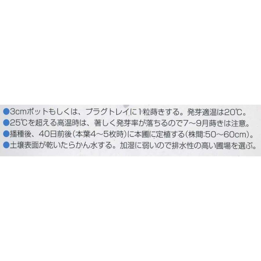 種子 アイスプラント 60粒 武蔵野種苗園 2246 グリーンロフトネモト 通販 Yahoo ショッピング