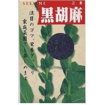 ごま 黒胡麻 5ml(約1500粒) (植物種子) : グリーンロフトネモト - 通販