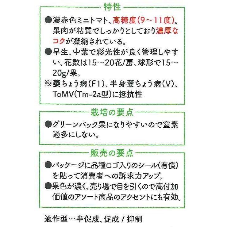 マウロの地中海トマト ピッコラルージュ 8粒 グリーンロフトネモト 通販 Yahoo ショッピング