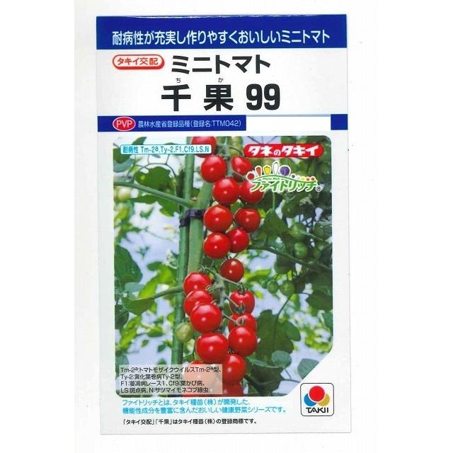 トマト ミニトマト 千果99 12粒 タキイ種苗 （株）DF : グリーンロフト