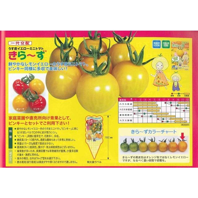 トマト うす皮ミニトマト きら ず 粒 ナント種苗 グリーンロフトネモト 通販 Yahoo ショッピング
