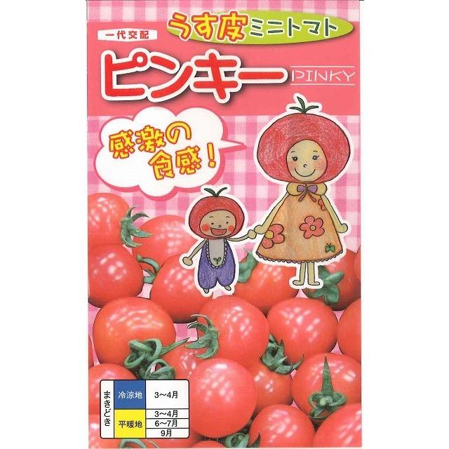 うす皮ミニトマト ピンキー 粒 ナント種苗 グリーンロフトネモト 通販 Yahoo ショッピング