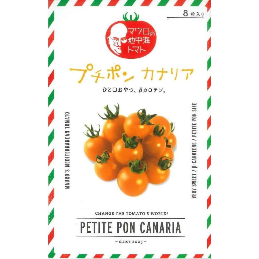 ミニトマト プチポン カナリア 100粒 　サナテックシード（株）