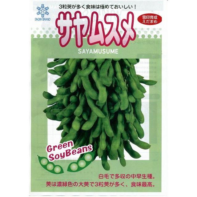 枝豆 サヤムスメ 70ｍｌ 雪印種苗（株） :2258:グリーンロフトネモト - 通販 - 
