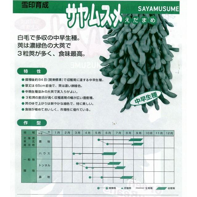 枝豆 サヤムスメ 1L 雪印種苗（株） : グリーンロフトネモト - 通販
