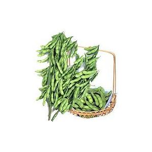 枝豆 湯あがり娘 100粒 カネコ種苗（株） |  | 01