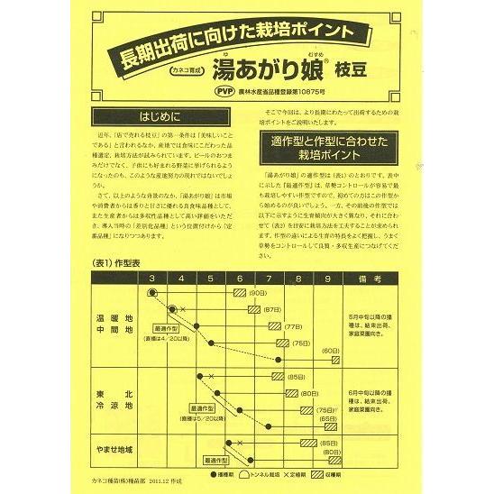 枝豆 湯あがり娘 100粒 カネコ種苗（株） |  | 03