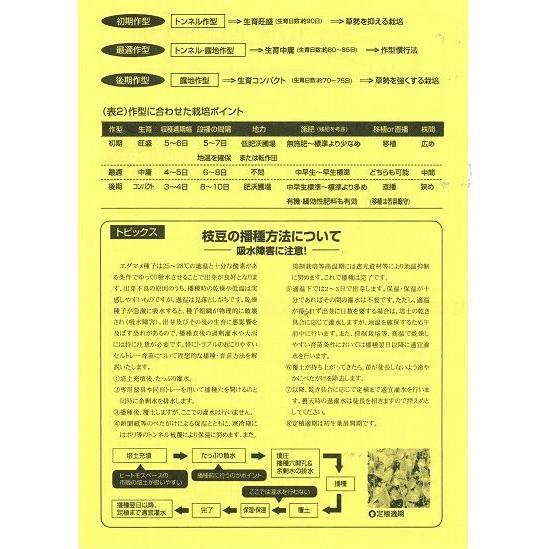 枝豆 湯あがり娘 100粒 カネコ種苗（株） |  | 04