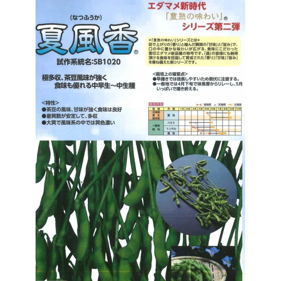 枝豆 夏風香 1L 雪印種苗（株） : グリーンロフトネモト - 通販