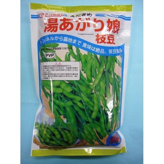 価格ご相談ください。湯あがり娘　枝豆2000粒 枝豆 湯あがり娘 2000粒 カネコ種苗（株） : グリーンロフトネモト