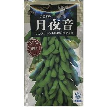 枝豆 月夜音 70ml 雪印種苗（株） : グリーンロフトネモト - 通販