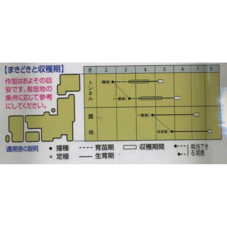 枝豆 江戸緑枝豆 60ml タキイのタネ GF|green-loft|02