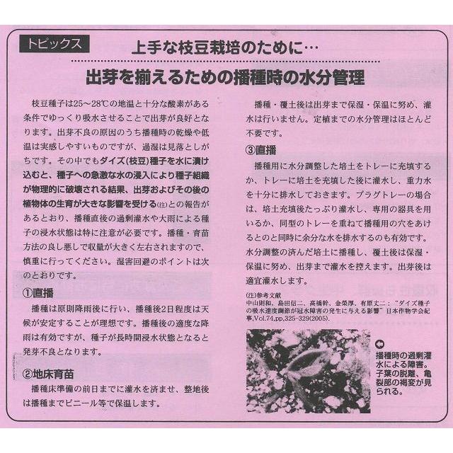 枝豆　ゆかた娘　2000粒　カネコ種苗株式会社｜green-loft｜04