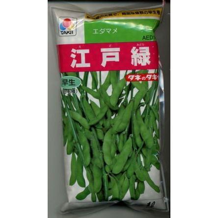 枝豆 江戸緑枝豆 1L タキイ種苗（株） : グリーンロフトネモト - 通販