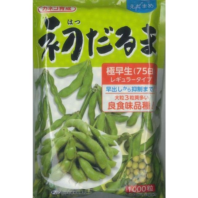 枝豆 初だるま 1000粒 カネコ種苗（株） : グリーンロフトネモト