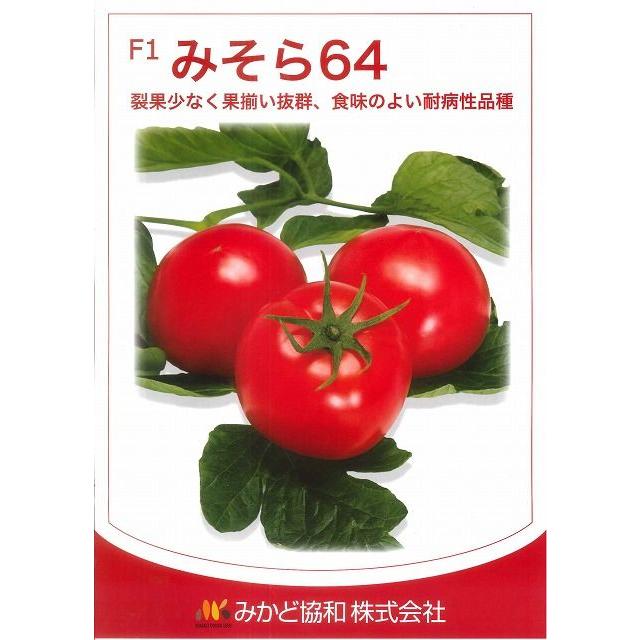 送料無料!大玉トマト みそら64 1100粒 みかど協和 :23001:グリーン 送料無料!大玉トマト みそら64 1100粒 みかど協和 :23001:グリーン