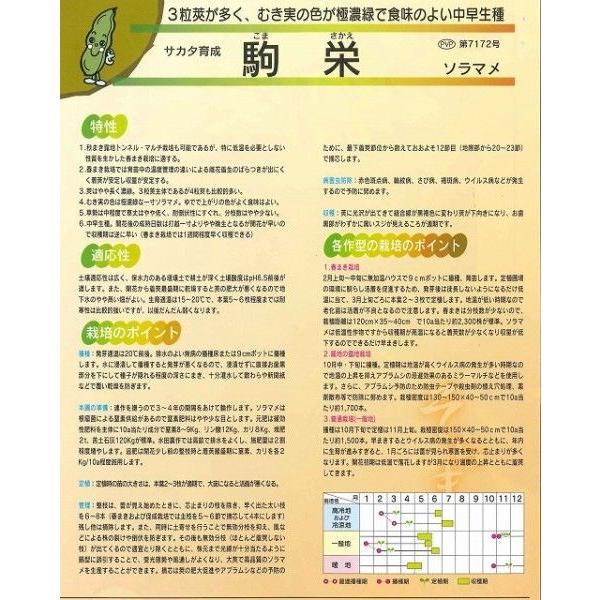 そら豆 駒栄 1L(約260粒) （株）サカタのタネの画像