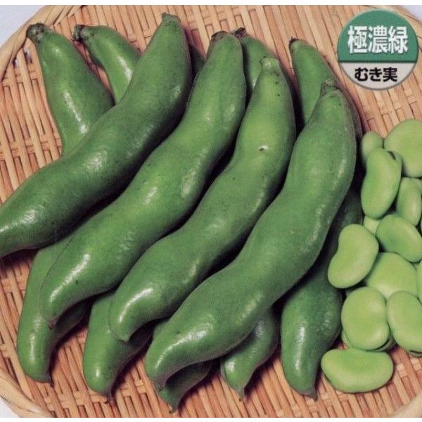そら豆 駒栄 1L(約260粒) （株）サカタのタネの画像