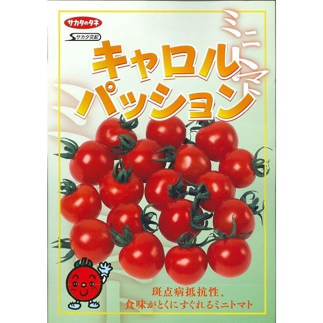 トマト　ミニトマト種　キャロルパッション　12粒　サカタのタネ（株）　実咲400｜green-loft｜03