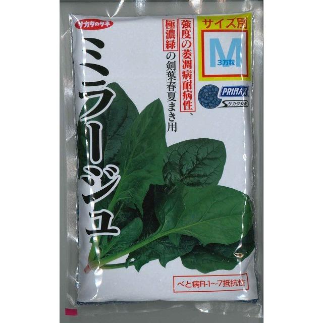 サカタのタネ（サカタノタネ） ほうれんそう ミラージュ 3万粒(種子