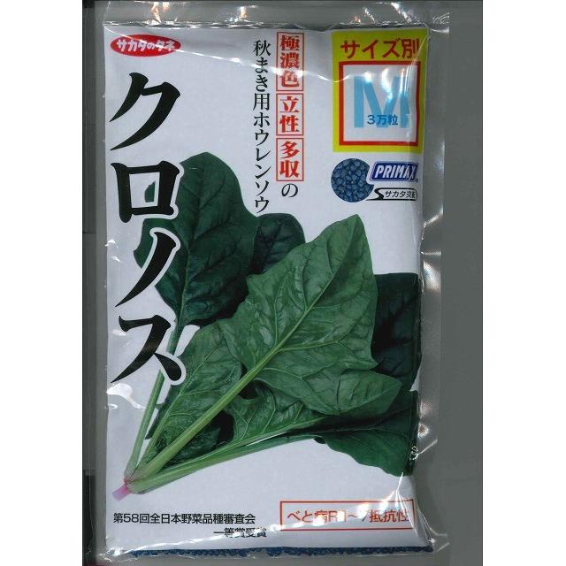 サカタのタネ（サカタノタネ） ほうれんそう クロノス 3万粒(種子