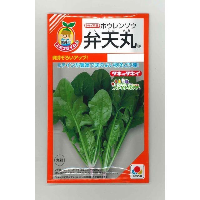 驚異の冬野菜！ほうれん草 冬 栽培 完全ガイド