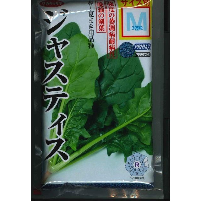 ほうれんそう ジャスティス 3万粒(種子サイズ:M) （株）サカタのタネ（Yahoo!・グリーンロフトネモト）