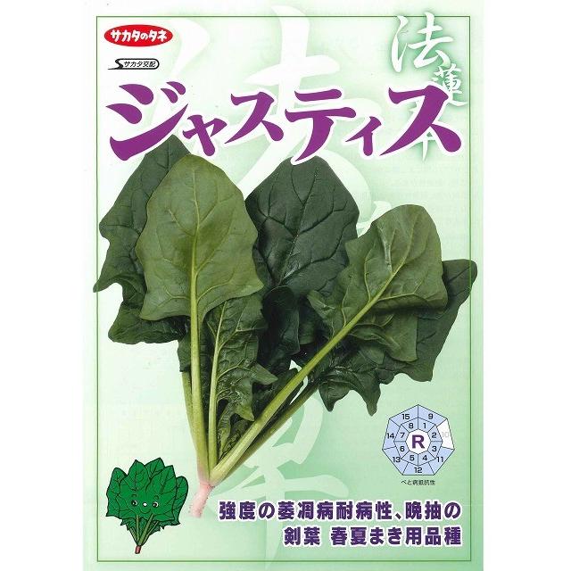 サカタのタネ（サカタノタネ） ほうれんそう ジャスティス 3万粒(種子