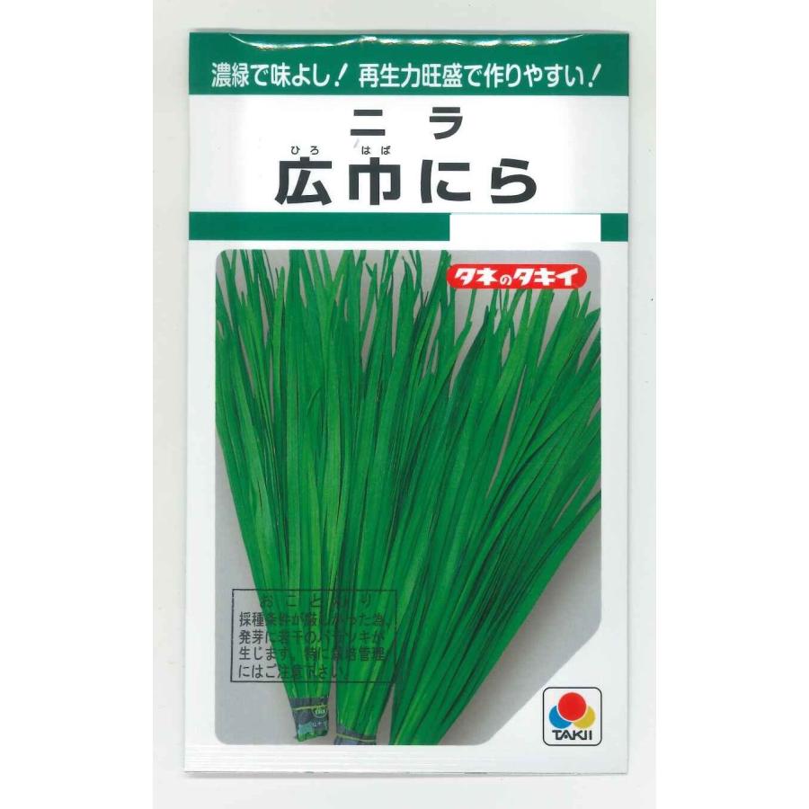 ニラい にら 広巾にら 13ml タキイ種苗 （株）GF : グリーンロフトネモト