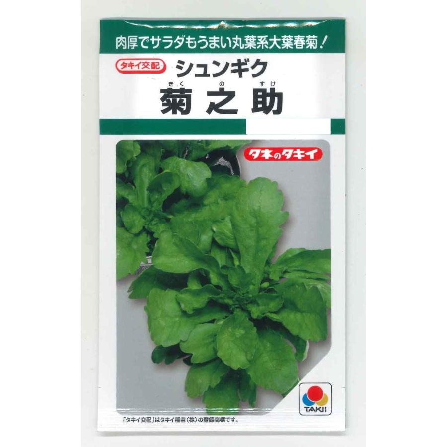 春菊 菊之助 22ml タキイ種苗 (株) GF : グリーンロフトネモト - 通販