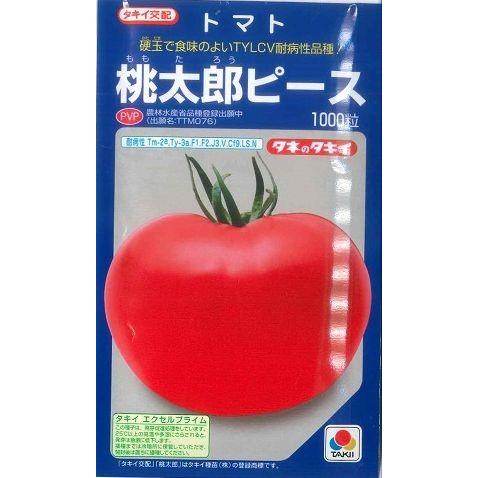 大玉トマト 桃太郎ピース 1000粒　タキイ種苗（株）（株）
