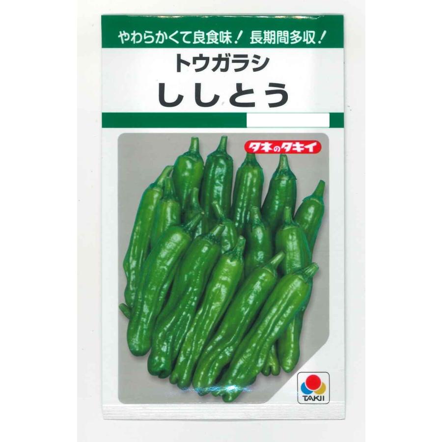 ししとう種 ししとう 150粒 タキイ種苗 Gf グリーンロフトネモト 通販 Yahoo ショッピング