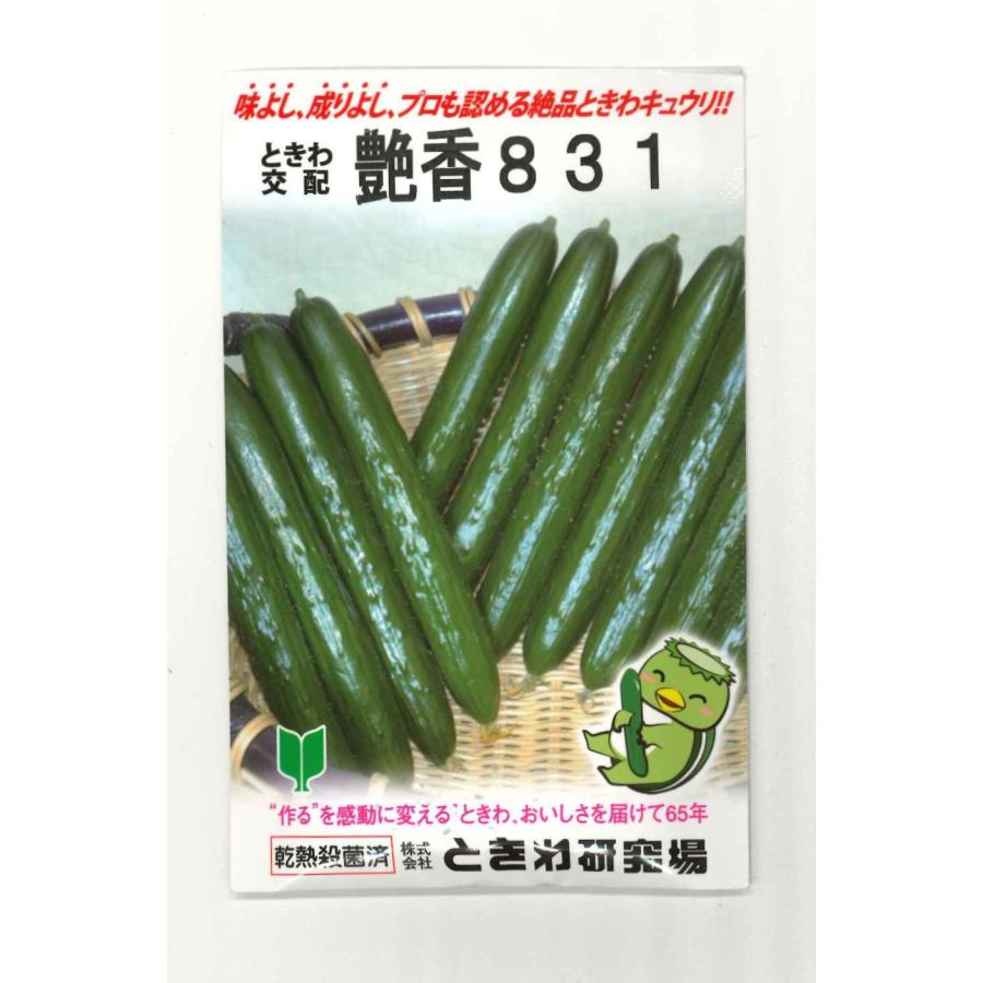 キュウリページ きゅうり 艶香831 350粒 （株）ときわ研究場 : グリーンロフトネモト