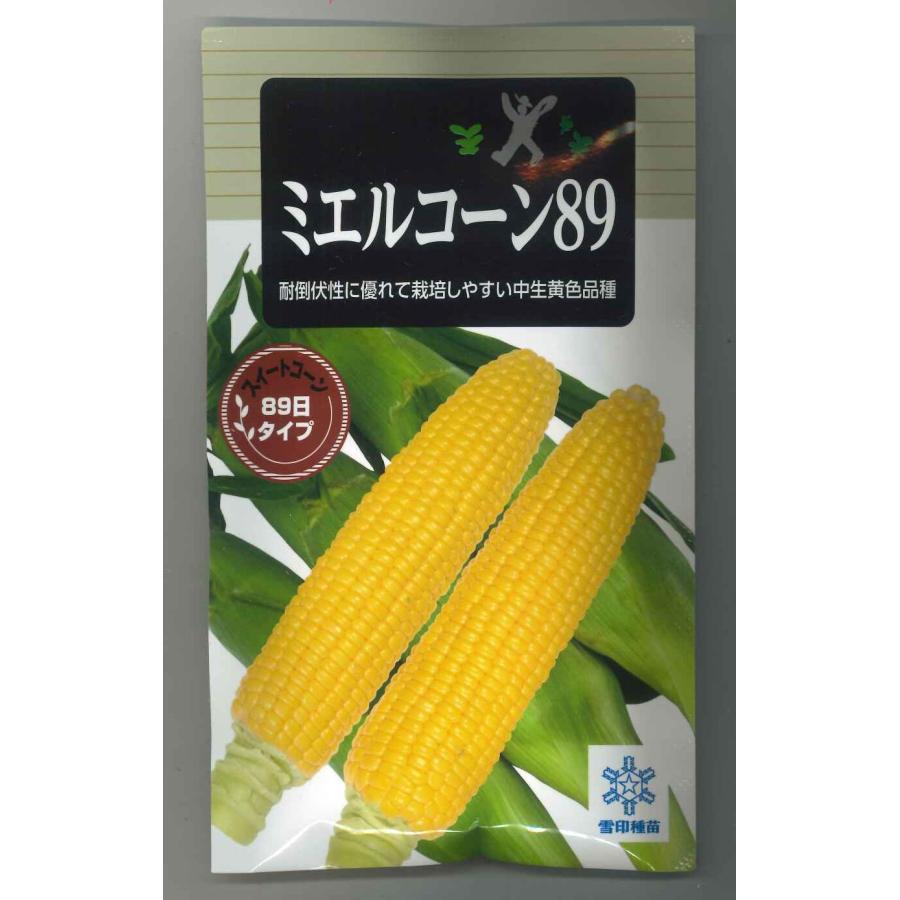 とうもろこし ミエルコーン89 200粒 雪印種苗（株） : グリーンロフト