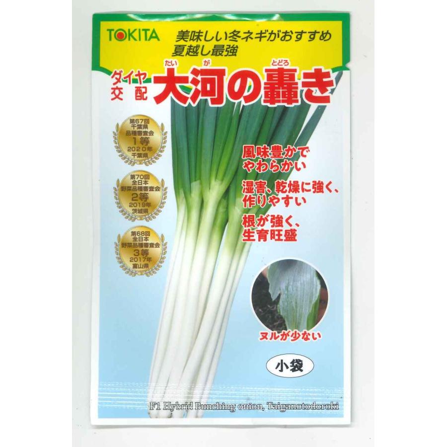 大河の轟き　1dl 裸種子 ネギ 【大河の轟き】 夏ネギから冬ネギまで使用可能。特に秋冬で高評価