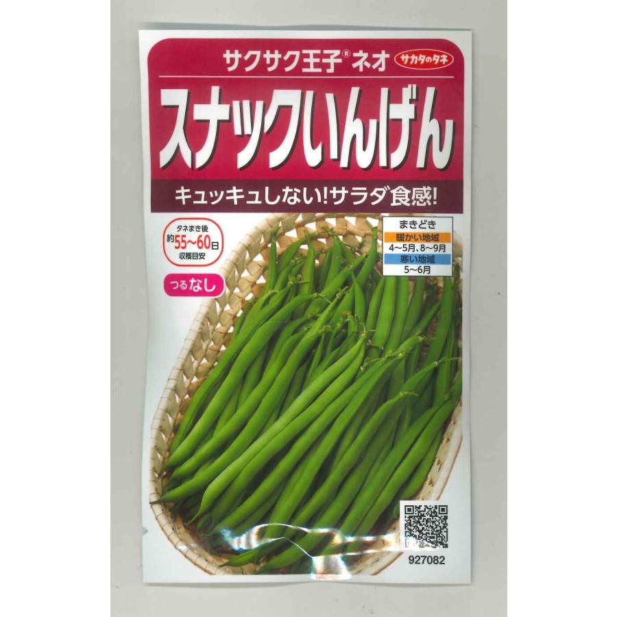 サカタのタネ（サカタノタネ） つるなしいんげん サクサク王子ネオ