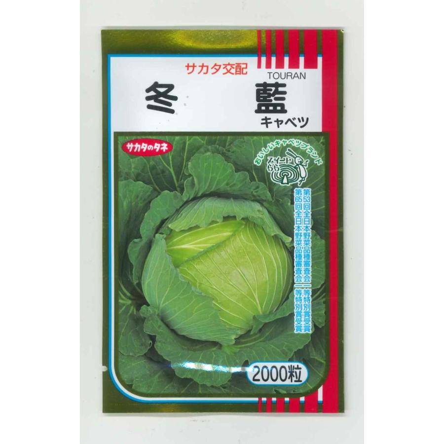 サカタのタネ（サカタノタネ） キャベツ 冬藍 2000粒 （株）サカタの