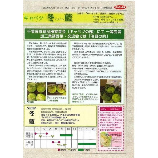 サカタのタネ（サカタノタネ） キャベツ 冬藍 2000粒 （株）サカタの