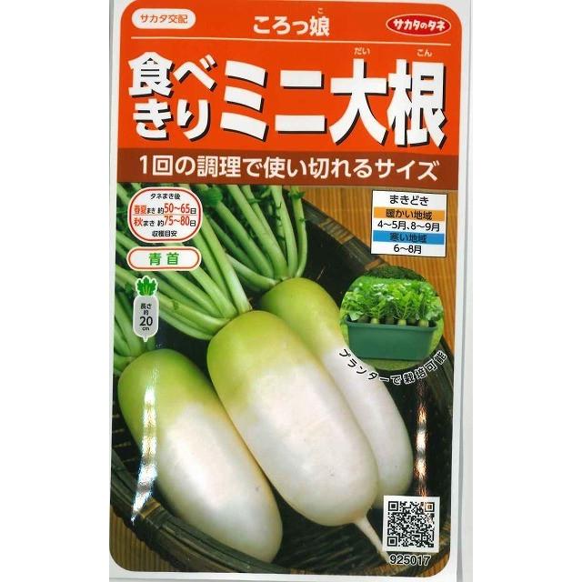 サカタのタネ（サカタノタネ） ミニ大根 ころっ娘 約150粒 （株